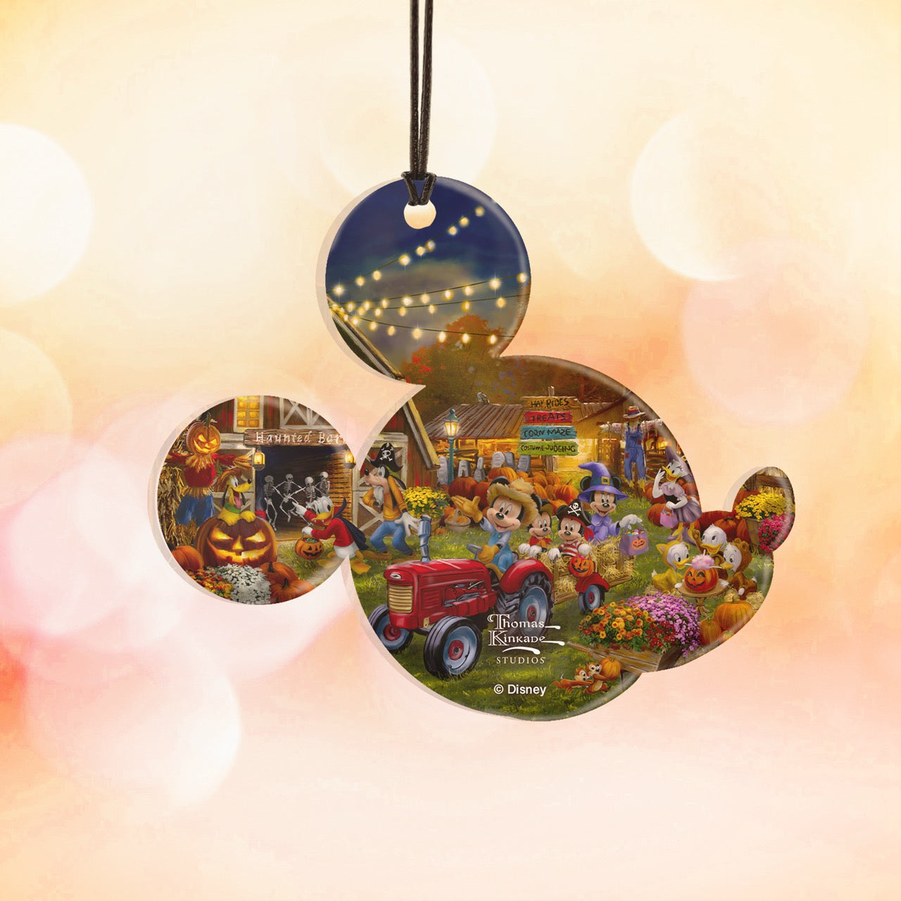 Disney (Mickey and Minnie Pumpkin Festival) Hanging Acrylic Print ACPMICKEY843